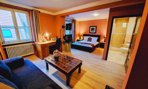 zimmer-seychellen-zimmeransicht-1-900x600-art-hotel-neckar_f605d688c938ffa8e3c44b8982881284 zimmer-seychellen-zimmeransicht-1-900x600-art-hotel-neckar_f605d688c938ffa8e3c44b8982881284